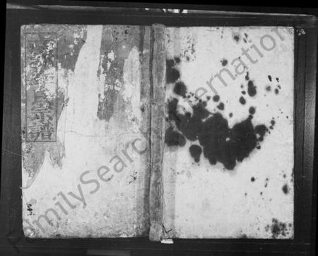 湖南李氏族谱-南郭李氏宗谱.pdf电子版插图1