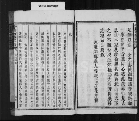 湖南李氏族谱-李氏宗谱 [卷数杂异].pdf电子版插图5