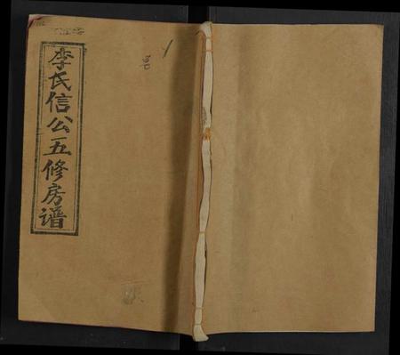 湖南李氏族谱-李氏信公房谱 [15卷,及卷首末].pdf电子版