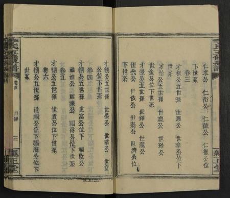 湖南李氏族谱-李氏信公房谱 [15卷,及卷首末].pdf电子版插图4