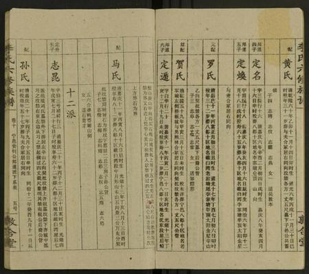 湖南李氏族谱-李氏族谱 [13卷].pdf电子版插图5