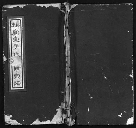 湖南李氏族谱-邵东庙堂李氏三修宗谱 [8卷,首1卷].pdf电子版插图1