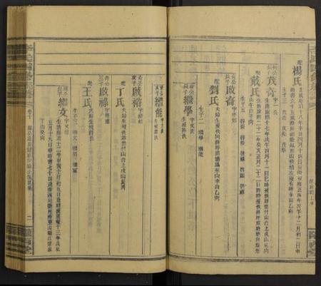 湖南李氏族谱-邵阳李氏四修族谱 [家派集世系卷50卷].pdf电子版插图2