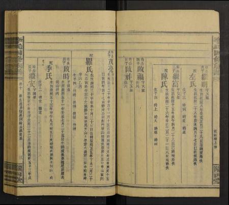 湖南李氏族谱-邵阳李氏四修族谱 [家派集世系卷50卷].pdf电子版插图3