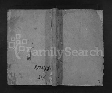 湖南李氏族谱-李氏续修族谱 [不分卷].pdf电子版