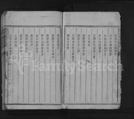 湖南李氏族谱-李氏续修族谱 [不分卷].pdf电子版插图2