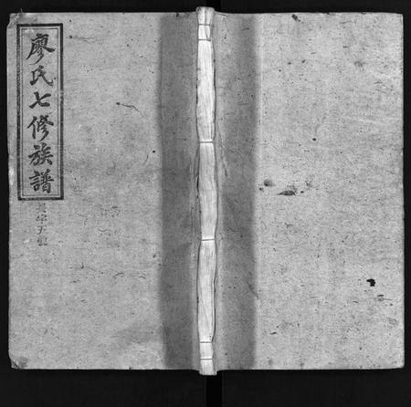 湖南廖氏族谱-廖氏七修族谱 [10卷,首3卷].pdf电子版插图1