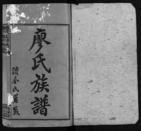 湖南廖氏族谱-廖氏七修族谱 [10卷,首3卷].pdf电子版插图2