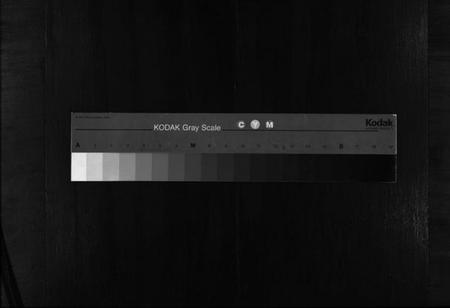 湖南廖氏族谱-廖氏六修族谱 [10卷,及卷首].pdf电子版