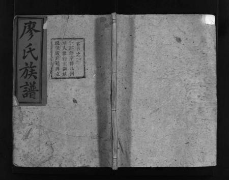 湖南廖氏族谱-廖氏六修族谱 [5卷,首4卷].pdf电子版插图1