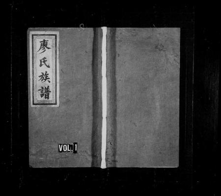 湖南廖氏族谱-廖氏族谱 [10卷,首1卷,牌谱1卷].pdf电子版插图1