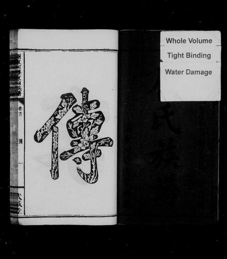 湖南廖氏族谱-廖氏族谱 [10卷,首1卷,牌谱1卷].pdf电子版插图3