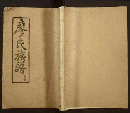 湖南廖氏族谱-廖氏族谱 [13卷,首2卷, 续修新刊1卷].pdf电子版