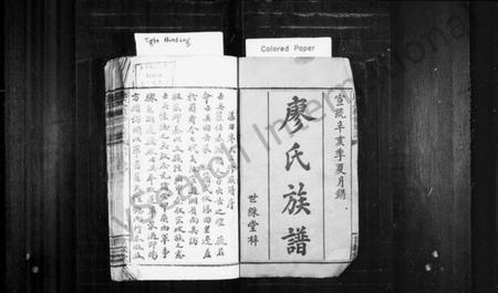 湖南廖氏族谱-廖氏家乘 [26卷,首2卷].pdf电子版插图2