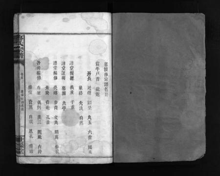 湖南廖氏族谱-廖氏族谱 [9卷,及卷首].pdf电子版插图2