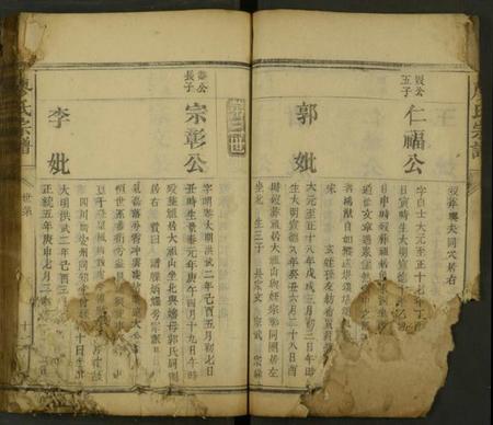 湖南廖氏族谱-廖氏族谱 [残卷].pdf电子版插图5