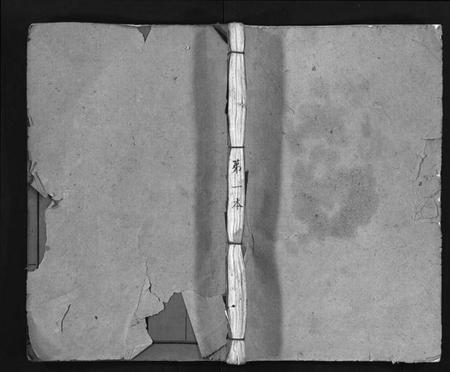 湖南廖氏族谱-廖氏族谱[37卷].pdf电子版插图1