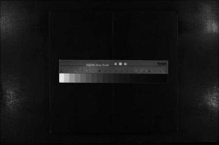 湖南廖氏族谱-廖氏续修族谱 [不分卷].pdf电子版