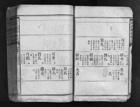 湖南廖氏族谱-廖氏续修族谱 [不分卷].pdf电子版插图4