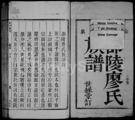 湖南廖氏族谱-邵陵廖氏族谱 [2卷,首1卷].pdf电子版插图2