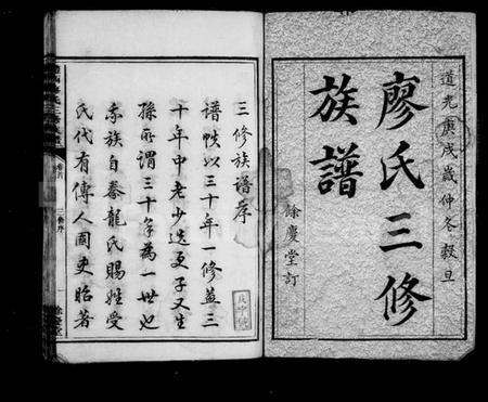 湖南廖氏族谱-醴西廖氏三修族谱 [9卷,首1卷].pdf电子版插图2