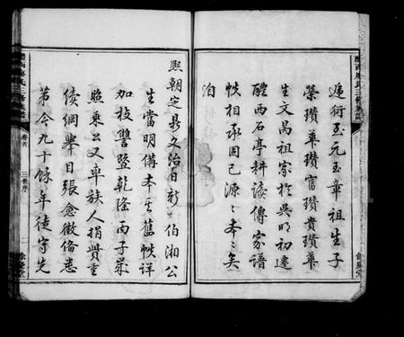 湖南廖氏族谱-醴西廖氏三修族谱 [9卷,首1卷].pdf电子版插图3