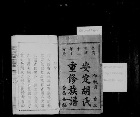 江西胡氏族谱-桂竹坑胡氏族谱 [2卷].pdf电子版插图2