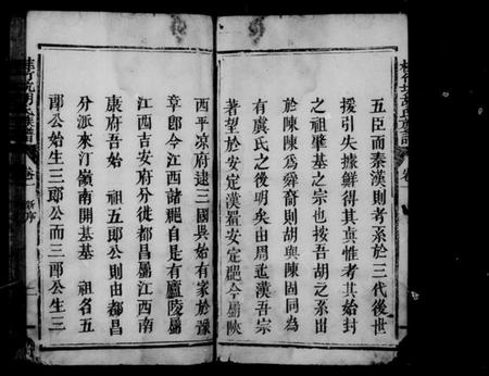 江西胡氏族谱-桂竹坑胡氏族谱 [2卷].pdf电子版插图4