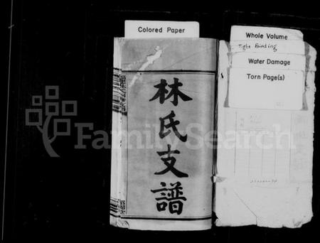 湖南林氏族谱-林氏支谱 [15卷].pdf电子版插图2