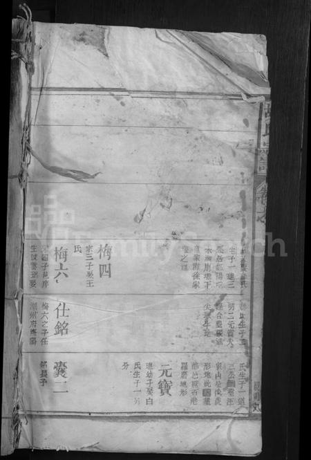 江西胡氏族谱-胡氏宗谱 [12卷,首1卷].pdf电子版插图1