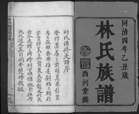 湖南林氏族谱-林氏续修族谱 [5卷,首1卷].pdf电子版插图1