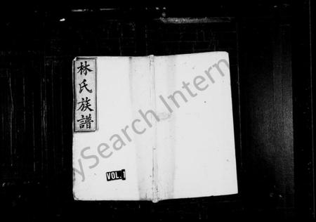 湖南林氏族谱-林氏续修族谱 [存25卷].pdf电子版插图1