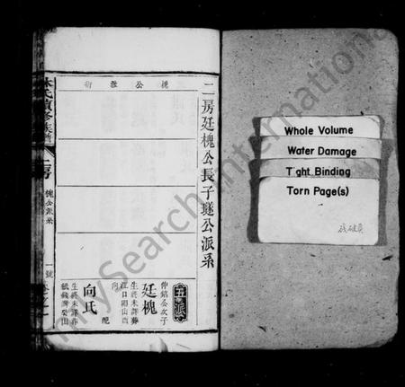 湖南林氏族谱-林氏续修族谱 [存25卷].pdf电子版插图2