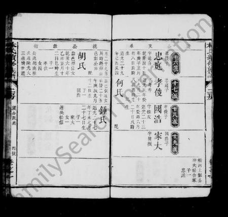 湖南林氏族谱-林氏续修族谱 [存25卷].pdf电子版插图5