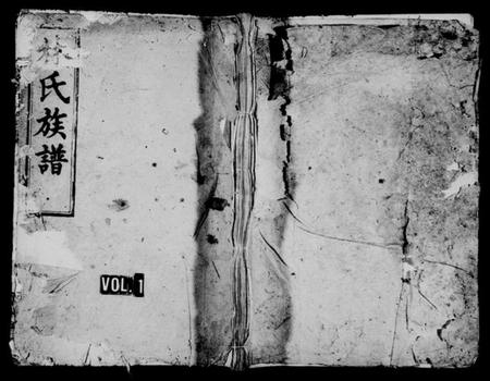 湖南林氏族谱-湖南平江林氏族谱 [16卷,首及附谱各1卷].pdf电子版插图1