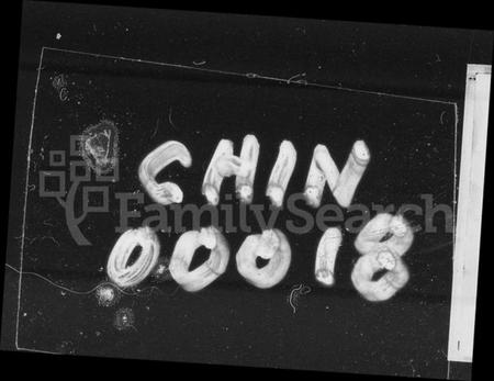 湖南林氏族谱-西河林氏四修族谱 [11卷,首1卷,世系1卷].pdf电子版插图4