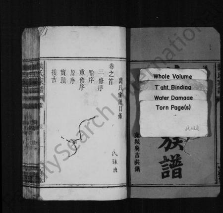 湖南蔺氏族谱-蔺氏族谱 [6卷,及卷首].pdf电子版插图3