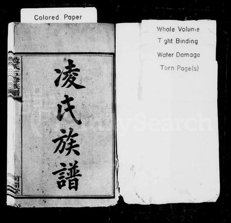 湖南凌氏族谱-凌氏族谱 [12卷].pdf电子版插图2