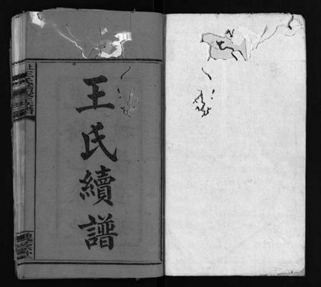 湖南刘氏族谱-上湘龙塘王氏续修族谱 [10卷].pdf电子版插图2