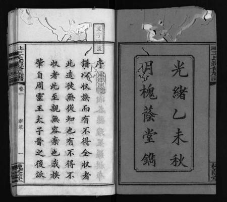 湖南刘氏族谱-上湘龙塘王氏续修族谱 [10卷].pdf电子版插图3