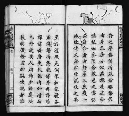 湖南刘氏族谱-上湘龙塘王氏续修族谱 [10卷].pdf电子版插图5