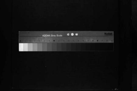 湖南刘氏族谱-中洲刘氏五修族谱 [不分卷].pdf电子版