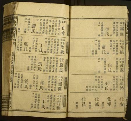 湖南刘氏族谱-刘伍户续修谱[卷数不详].pdf电子版插图3