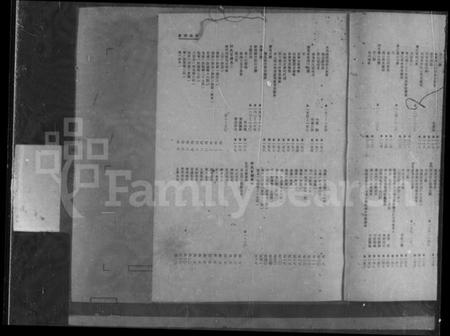 广东、福建许氏族谱-许氏宗谱.pdf电子版插图3