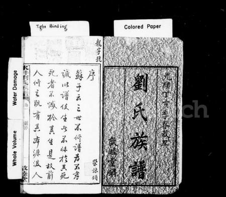 湖南刘氏族谱-刘氏五修族谱 [11卷].pdf电子版插图2