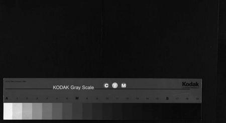 湖南刘氏族谱-刘氏五修族谱 [12卷].pdf电子版