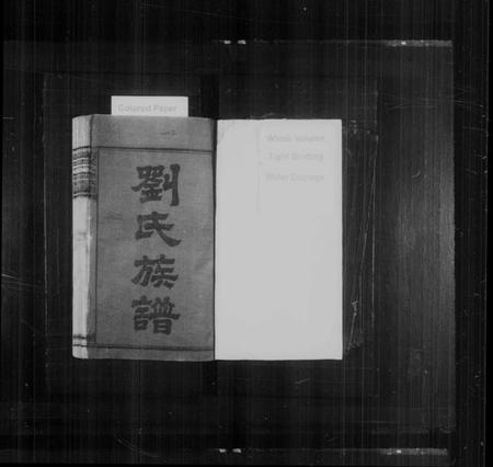 湖南刘氏族谱-刘氏八修族谱 [卷数杂异].pdf电子版插图2