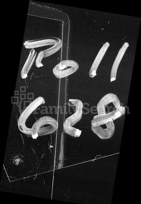 湖南刘氏族谱-刘氏六修族谱 [10卷,首1卷].pdf电子版插图2