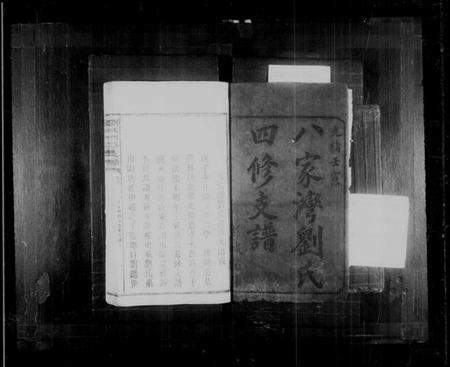 湖南刘氏族谱-刘氏四修支谱 [7卷,首2卷].pdf电子版插图2