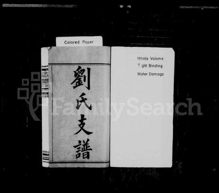 湖南刘氏族谱-刘氏支谱 [12卷].pdf电子版插图2